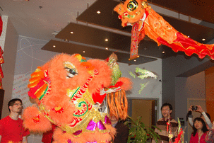 Lion Dance 金獅採青 開年大吉