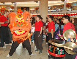 Lion Dance 金獅採青 開年大吉