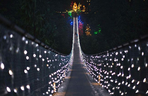 送 Capilano Suspension Bridge 通行証 欣賞世界最高聖誕樹