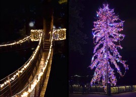 送 Capilano Suspension Bridge 通行証 欣賞世界最高聖誕樹