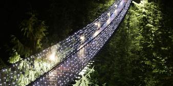 送 Capilano Suspension Bridge 通行証 欣賞世界最高聖誕樹