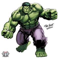 大隻 Hulk 綠巨人（港譯變形俠醫），雖然跟「靚仔」無緣，但力大無窮，而且越憤怒越有力量，被他打中一拳必死無疑。他經常擠爆身上的衫褲，卻從來不會走光，恐怕也是超能力的一種。
