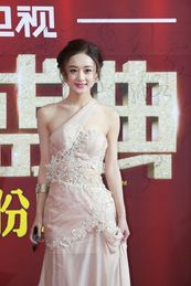 趙麗穎獲得「2013 年國劇盛典」的「觀眾喜愛新人女演員」的獎項。
