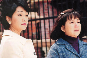 在 TVB 17 年的胡美儀只為亞洲電視拍過一齣長篇劇，就是《萬家燈火》，但她所演的角色康乃馨，和馮寶寶所飾的鄧水喜，由年輕演到年老，非常深入民心，可以說是二人的代表作。