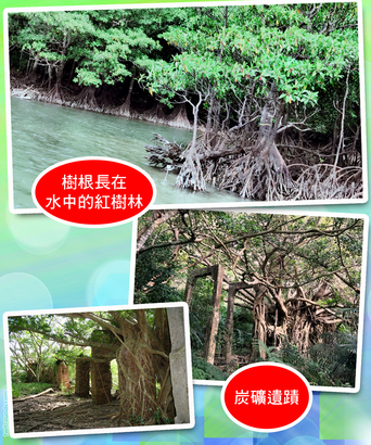 一般 kayaking 都只在海中行走，但 Mary 她們要落地，因為要參觀紅樹林和炭礦遺蹟。