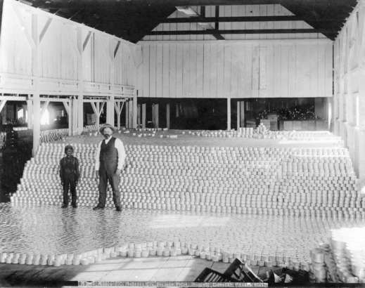 當時大規模的罐頭魚廠年産超過 250 萬罐。（Vancouver Archives AM54-S4: Indust P5）