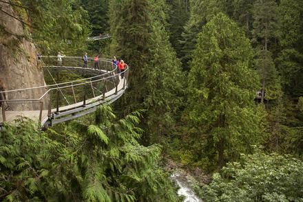 Capilano 吊橋公園入場券