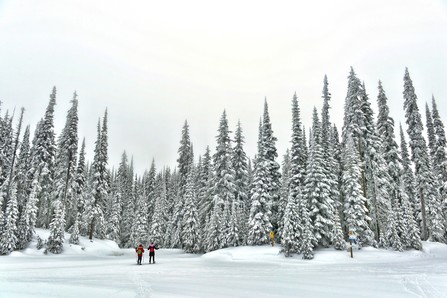冰封如城堡的 Sovereign Lake 是越野滑雪比賽場地，亦是玩雪鞋聖地。