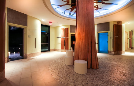 水療中心桑拿入口室的仿古樹，令人如置身山林。