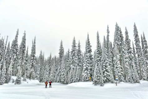 冰封如城堡的 Sovereign Lake 是玩雪鞋的聖地。