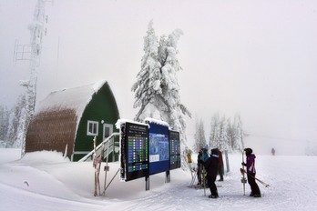 1,915 米的雪峰，極目所見都是白雪茫茫真乾淨。