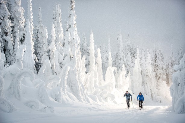 SliverStar 設有全國最多的越野滑雪道，共長達 105 公里。