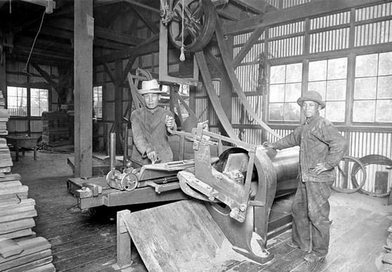 1913 年鋸木廠的華工。（City of Victoria Archives M01100）