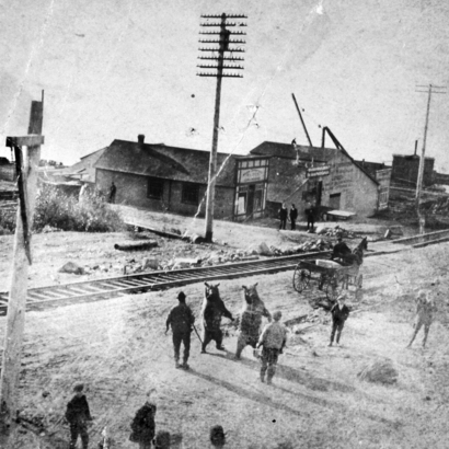 兩隻大熊 1906 年在北溫 Lonsdale Avenue 街頭賣藝。(Archives of North Vancouver)