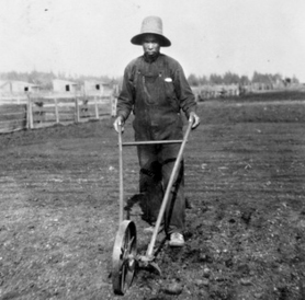 1920 年代在素里區農場工作的華工。（Surrey Archives）