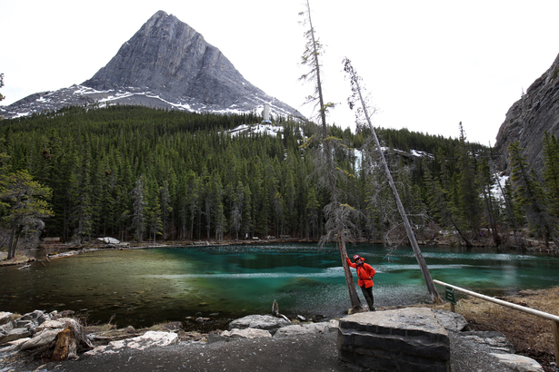 綠玉色湖水的 Grassi Lake 比 Ha Ling Peak（背景）容易到達得多。