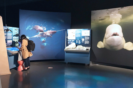 Science World「北極之聲」展覽  現在還有「買一送一」優惠！