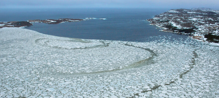 初春氣溫回升時，海灣內的浮冰會龜裂，成為異景。(Photo from townoffogoisland.ca)
