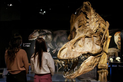 Science World 暴龍哥在等你！來贏 4 張科學館入場券捕捉霸王龍！