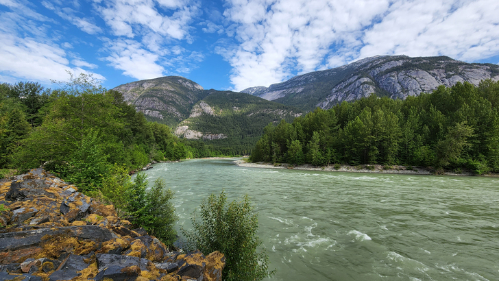 Bella Coola 河是燭魚與三文魚春秋回游的主道之一。