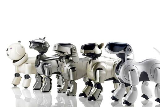 日本人受動漫文化影響，對仿生機器人有種莫名的狂熱，早期就有本田的 Asimo 和 Sony 的 Aibo 機械狗。圖中所示為不同時期的 Aibo。(Photo from Sony Aibo Facebook)