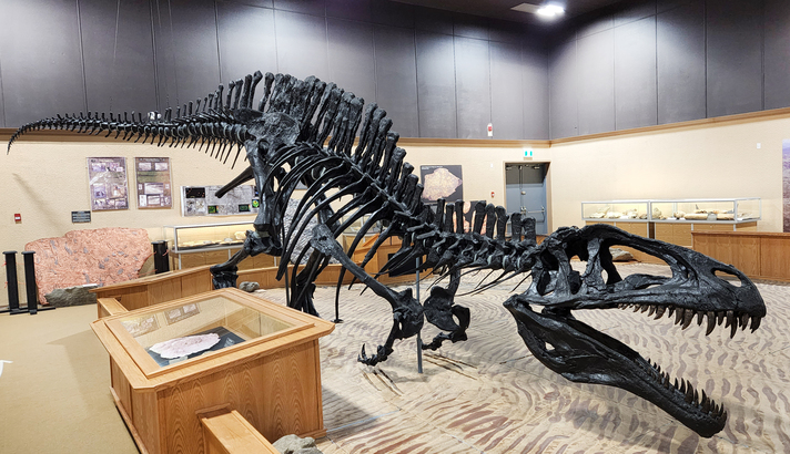 卑詩省唯一真蹟恐龍館，設在 Tumbler Ridge。