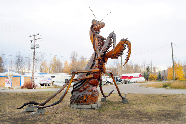 2011 年冠軍的巨型像真《螳螂》十分嚇人。