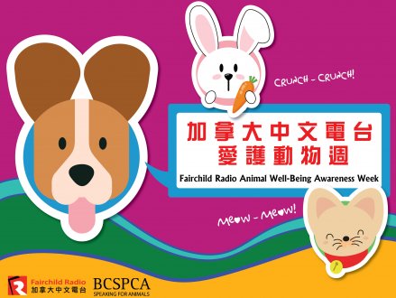 Fairchild Radio Animal Well-being Awareness Week 加拿大中文電台愛護動物週即將展開