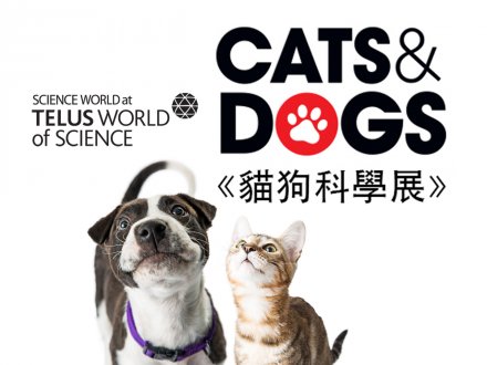 Science World Cats & Dogs 意想不到的動物世界 溫哥華科學館「貓狗科學展」1746076567 Science World Cats & Dogs 意想不到的動物世界 溫哥華科學館「貓狗科學展」