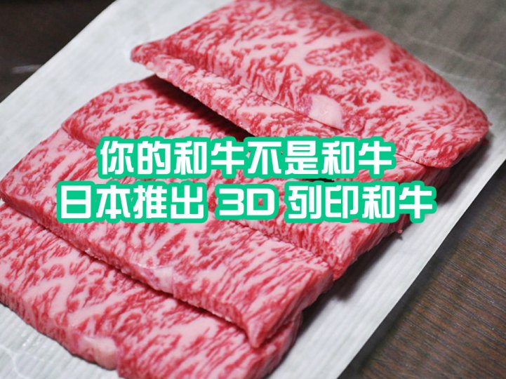 3D print Wagyu 未來你口中的日本雪花和牛 可能是 3D 打印出來的！