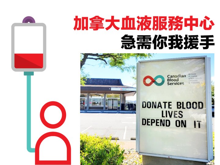 Donate blood 全國血荒！加拿大血液服務中心 急需你我援手