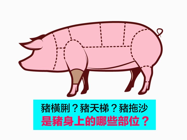 Pig 豬橫脷是豬的胰臟  那豬天梯和豬拖沙又是哪個部位？