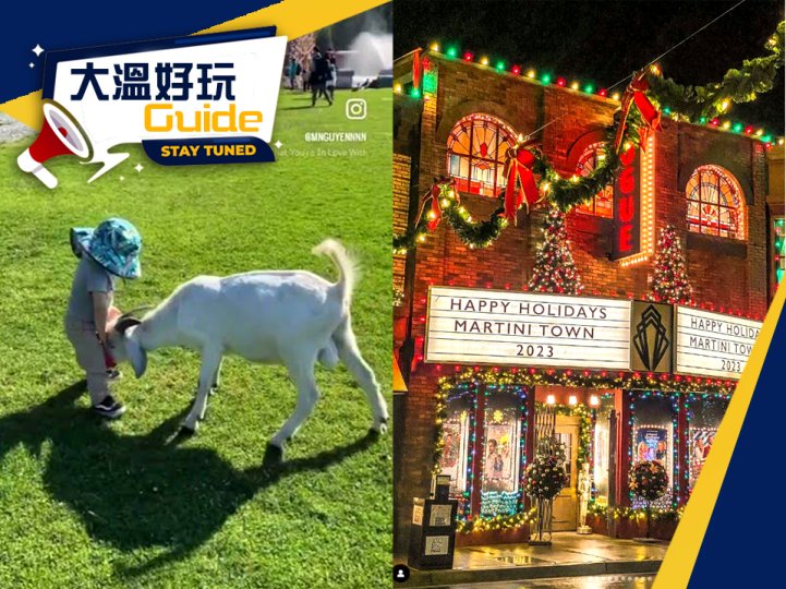 [大溫好玩 Guide]  IKEA 聖誕自助餐 + PNE Winter Fair