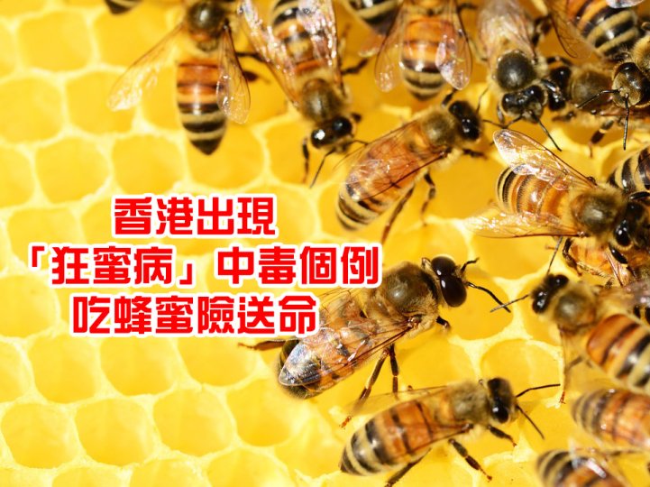 Honey 65 歲婦食印度自製蜂蜜後中毒 香港消委會提出食用 7 貼士