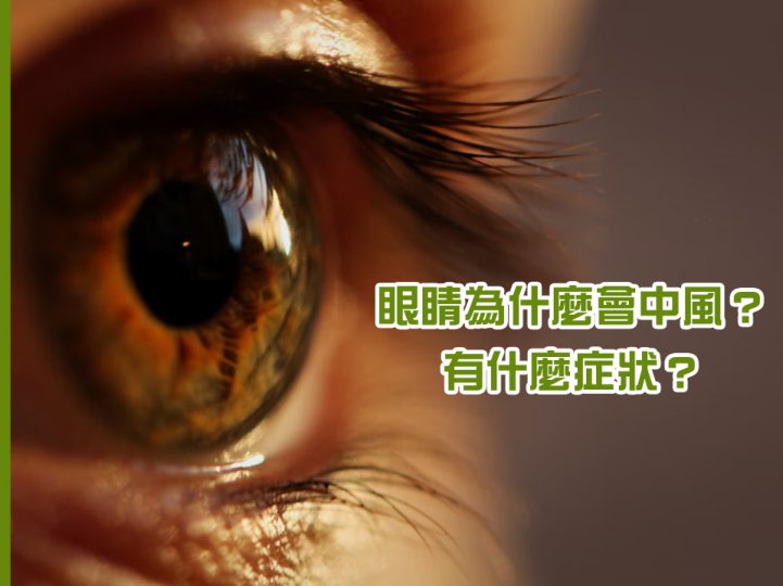 Retinal vascular occlusion 眼睛也會中風? 會令人失去視力嗎？