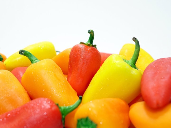 Peppers 青椒 黃椒 紅椒 橙椒 原來都是同一種椒