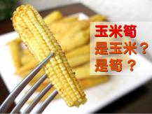 Baby corn 玉米筍是玉米還是筍？
