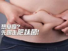Gut bacteria 減肥失敗？ 因為你有太多「肥妹菌」!