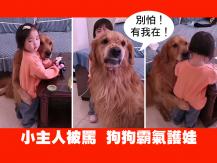 Dog protecting toddler 兩歲女孩被母訓話　愛犬保護模式維護主人