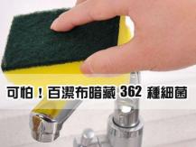 Kitchen sponge 家中細菌集中營不是廁板 而是你每天都用的廚房百潔布