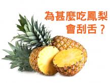 Pineapple 為甚麼吃鳳梨會刮舌？
