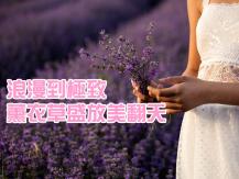 Lavender 不必跑到老遠 全新列治文薰衣草莊園 6月中正式開放