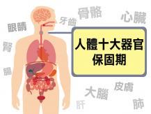 Organs 人體器官也有保固期 保固期最長的器官是 ...