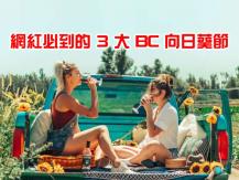 Sunflower Festivals 溫市附近 3 個向日葵花節