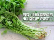 Coriander 討厭香菜不是你的錯 是 DNA 出錯