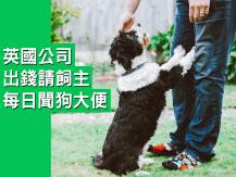Dog 英國公司出錢請飼主每日聞狗大便