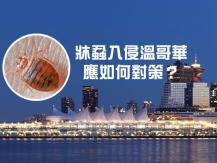 Bed bug 加拿大最新牀蝨城市排行榜 溫哥華排第三 本那比也上榜