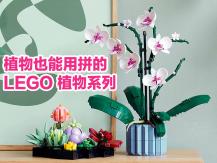 LEGO 樂高多肉植物、蘭花、向日葵 質感滿分超療癒！