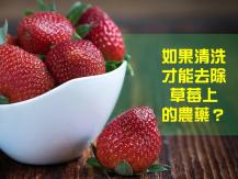 Clean strawberries 草莓園老闆話你知 清洗草莓的正確方法