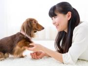 Talk to pets 如果你會和寵物說話 那你太聰明了！